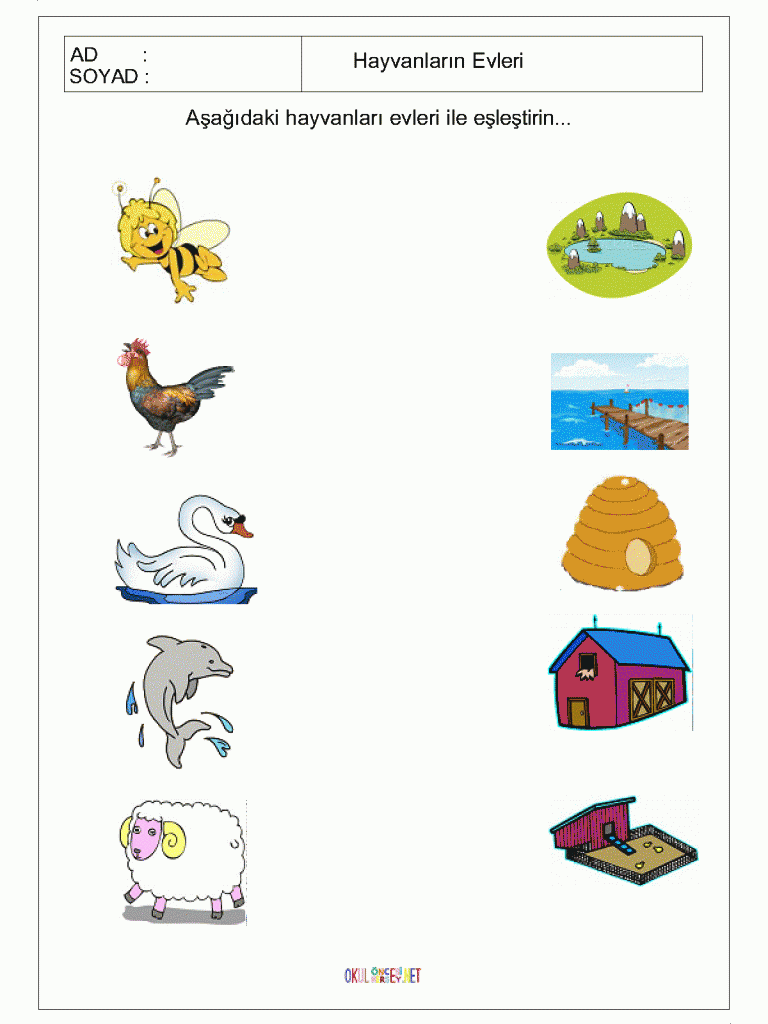 Matching animals to their home worksheet | Crafts and Worksheets for