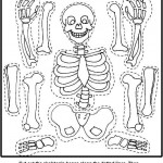 Skeleton crafts for kids | Crafts and Worksheets for Preschool,Toddler ...