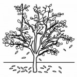tree coloring pages | Crafts and Worksheets for Preschool,Toddler and