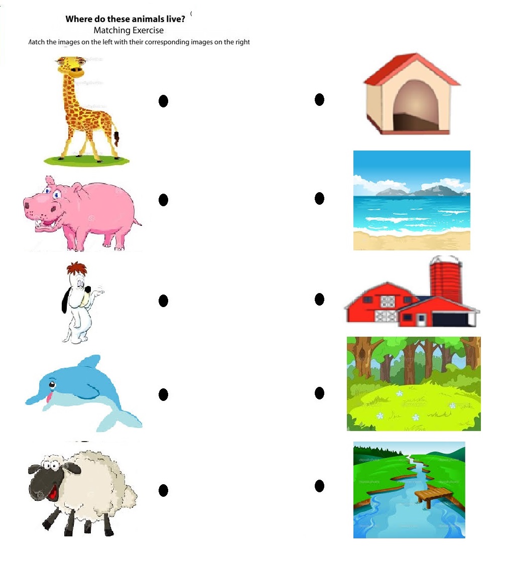 Animals And Their Homes Worksheet