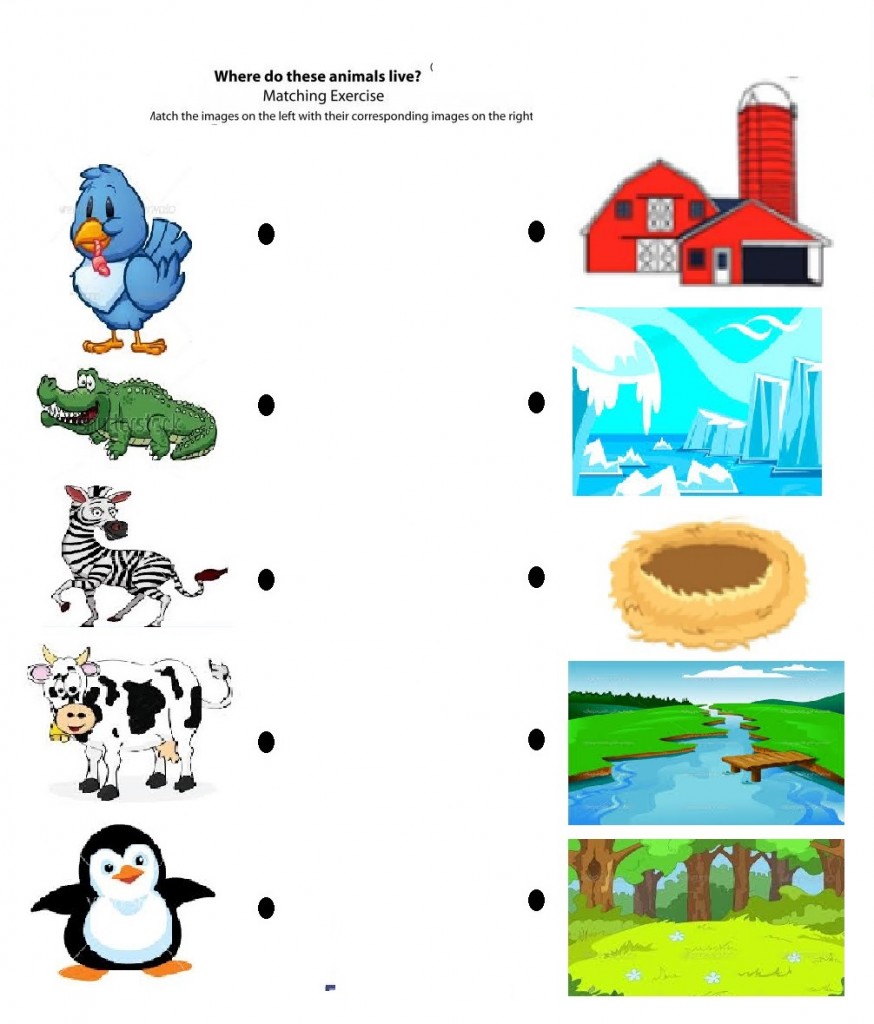 Matching animals to their home worksheet | Crafts and Worksheets for ...