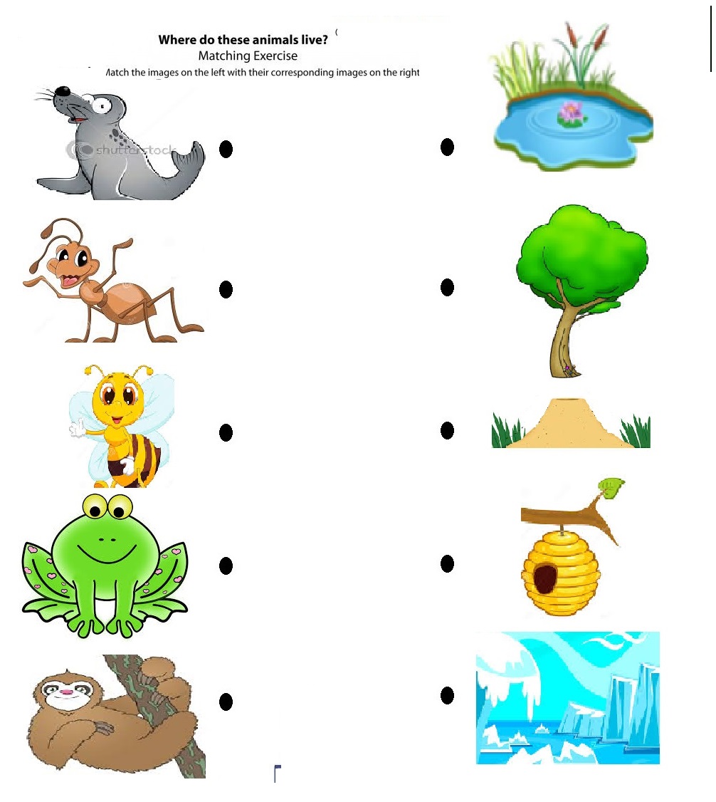 matching-animals-to-their-home-worksheet-crafts-and-worksheets-for